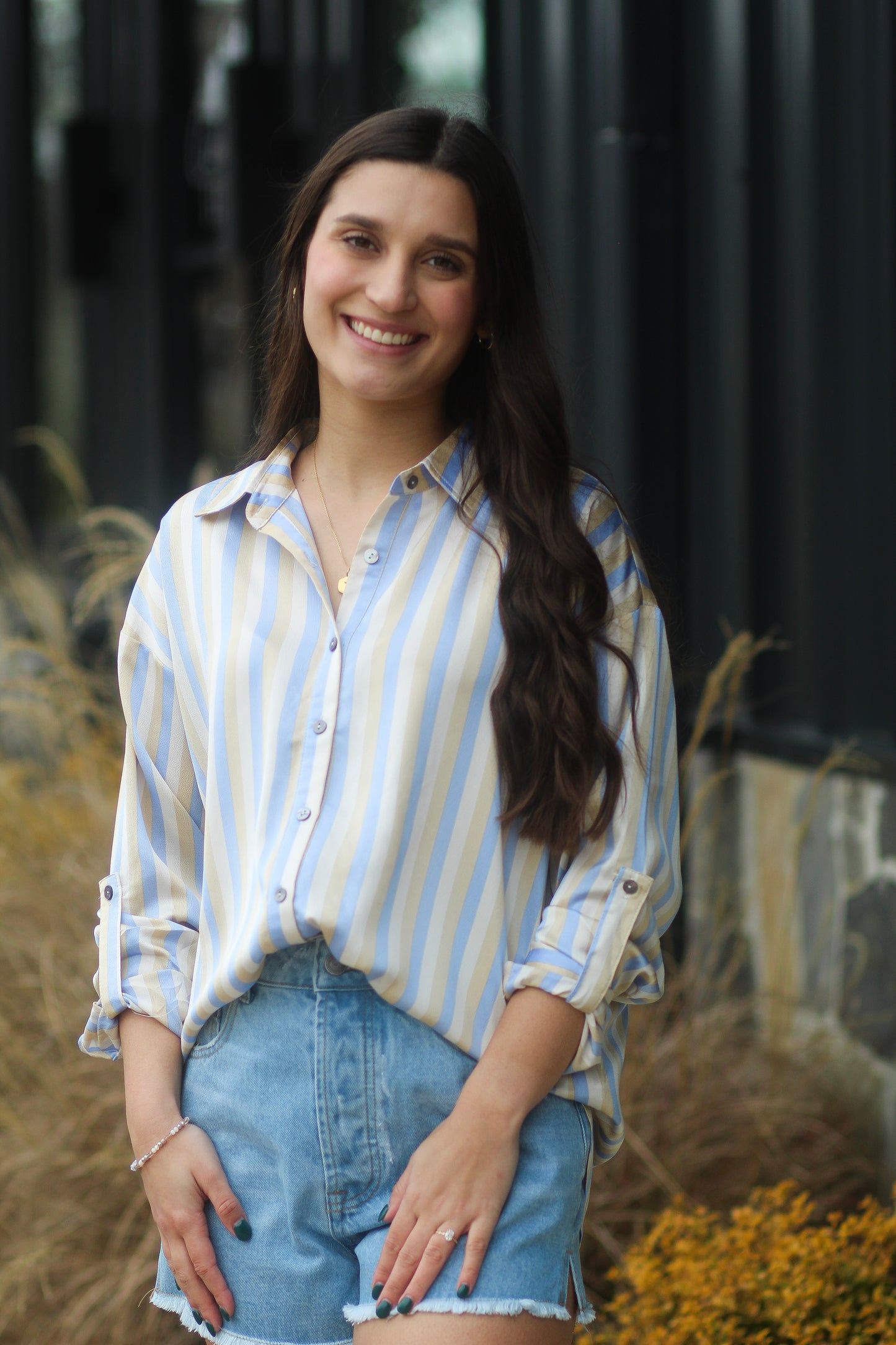 Blue/Tan Striped Button Up